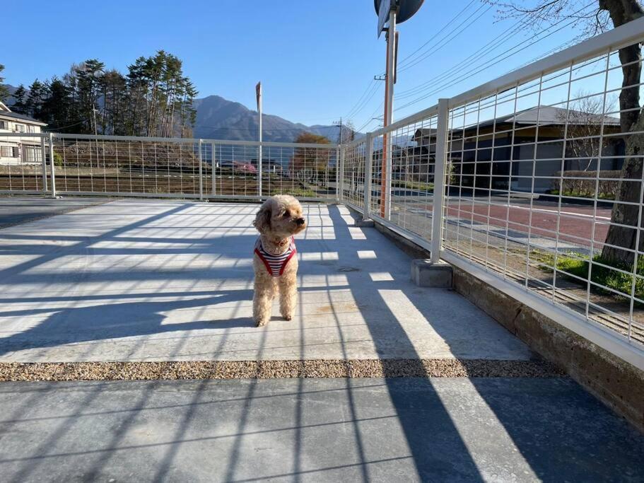 Mt. Fuji Kokoワンちゃんokの新築貸別荘 Fujikawaguchiko Eksteriør bilde