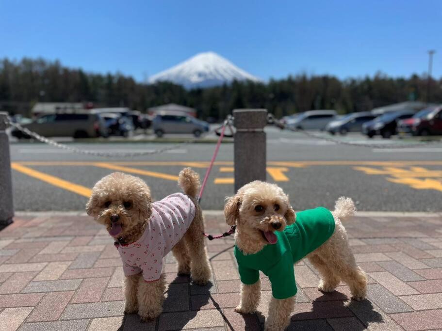 Mt. Fuji Kokoワンちゃんokの新築貸別荘 Fujikawaguchiko Eksteriør bilde
